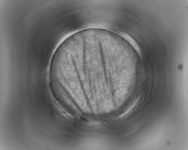 X0000098171052200805221511