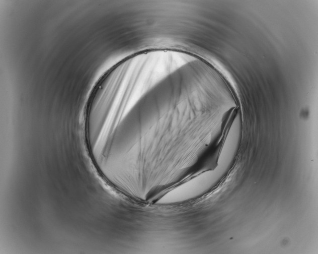 X0000098171053200805221511