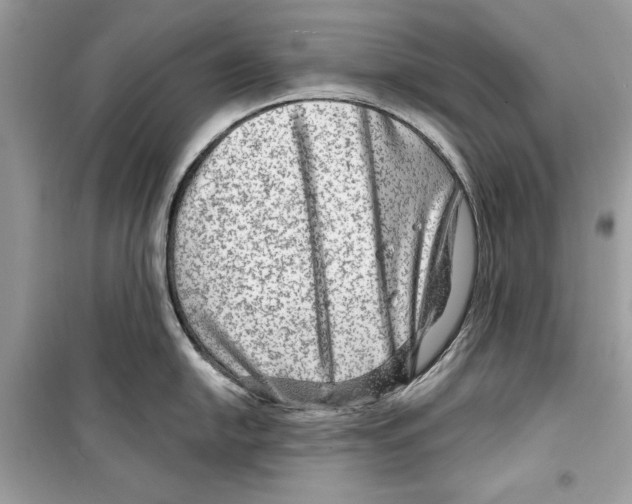 X0000098171054200805221511