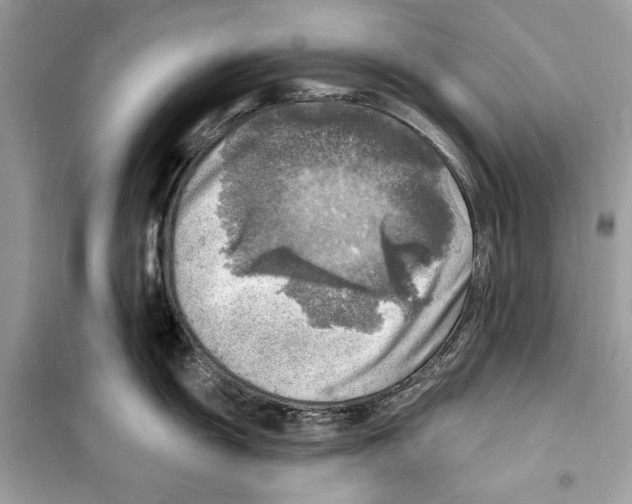 X0000098171055200805221511