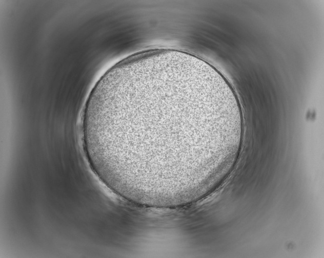 X0000098171056200805221511