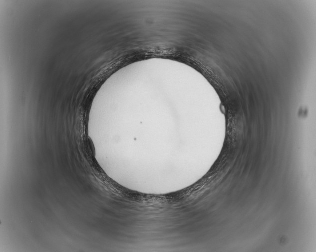 X0000098171058200805221510