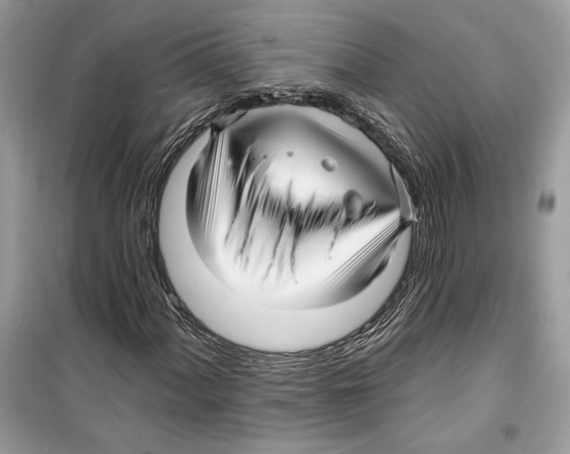 X0000098171060200805221510