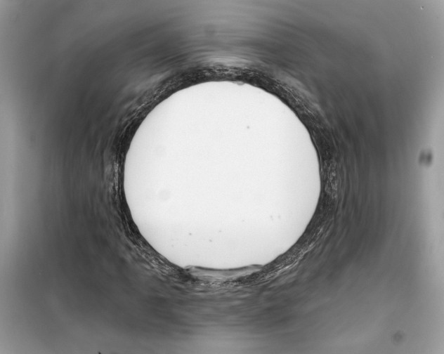 X0000098171061200805221510