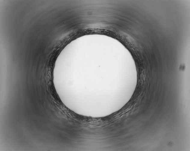 X0000098171062200805221510