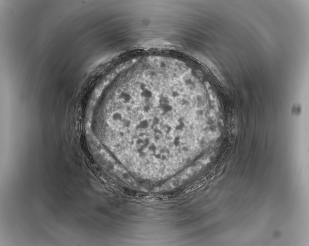 X0000098171063200805221510