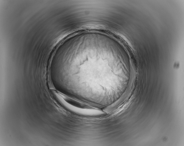 X0000098171065200805221510