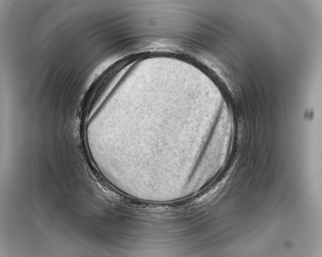 X0000098171066200805221510