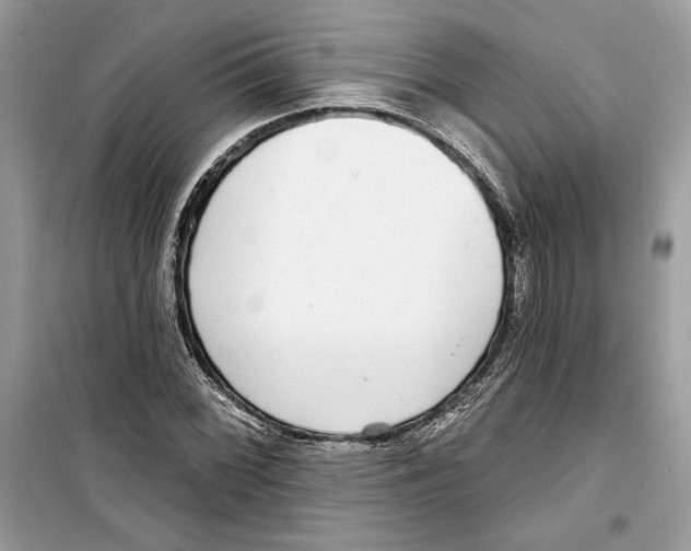 X0000098171068200805221510