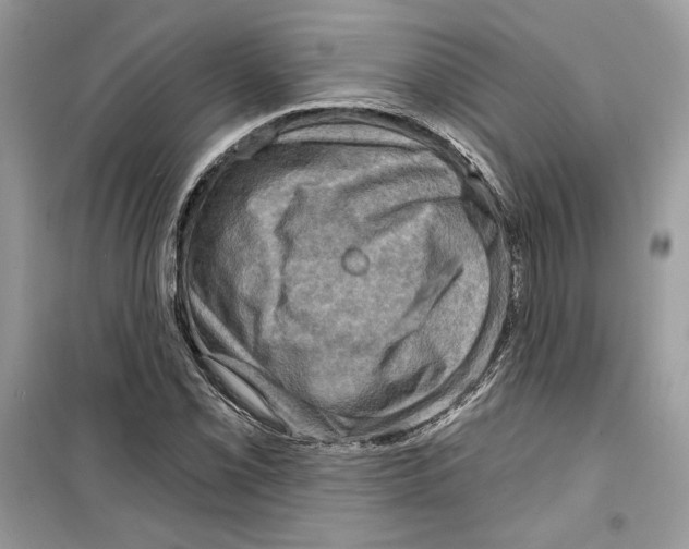 X0000098171069200805221510