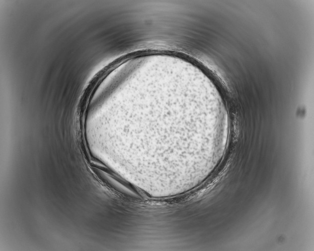 X0000098171070200805221510