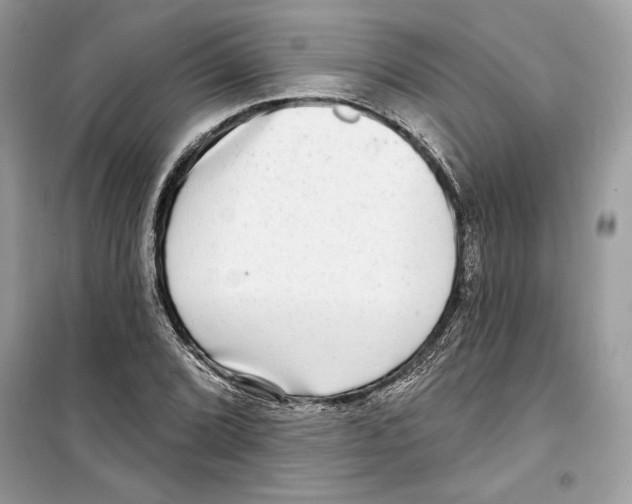 X0000098171072200805221510