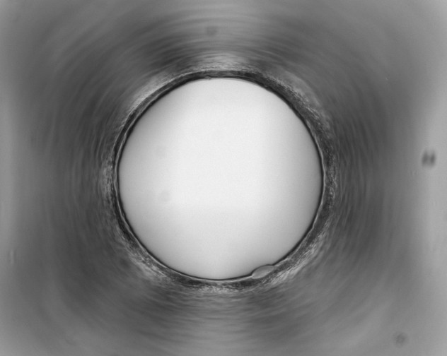 X0000098171073200805221510