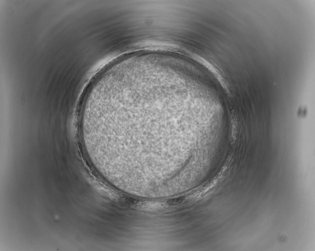 X0000098171074200805221510