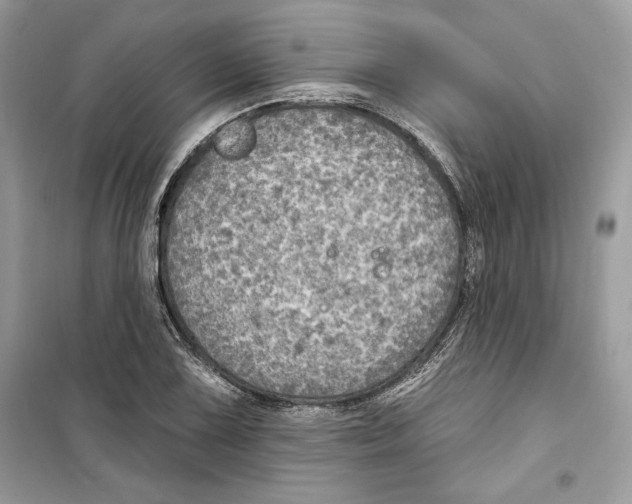 X0000098171075200805221510