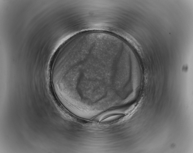 X0000098171077200805221510