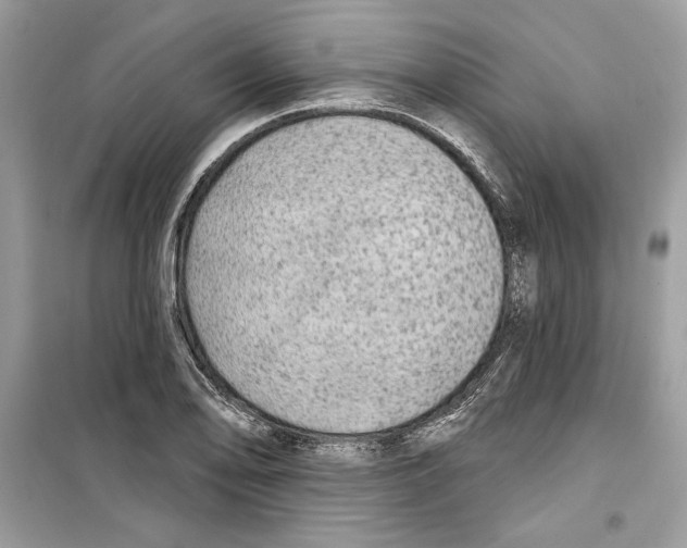 X0000098171078200805221510