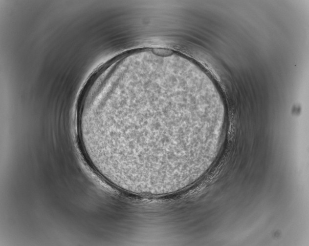 X0000098171080200805221510