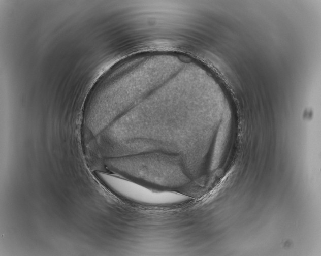 X0000098171081200805221510