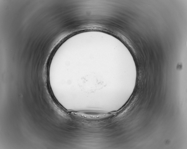 X0000098171082200805221510