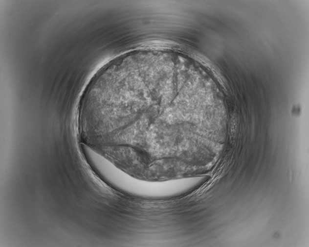 X0000098171083200805221510