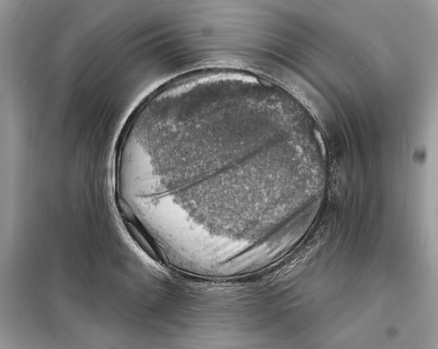 X0000098171084200805221510