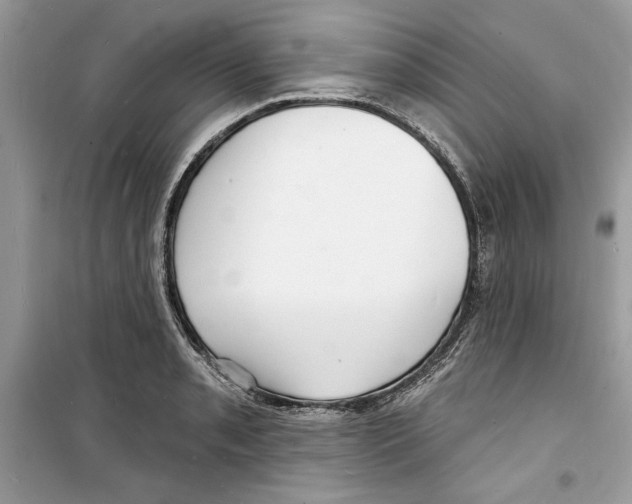 X0000098171085200805221510