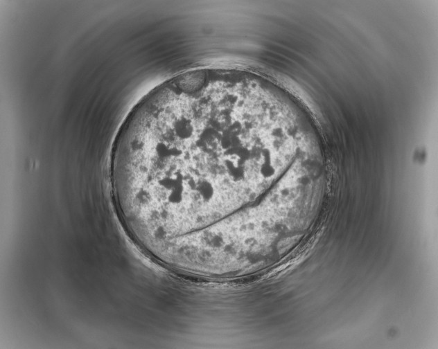 X0000098171087200805221510