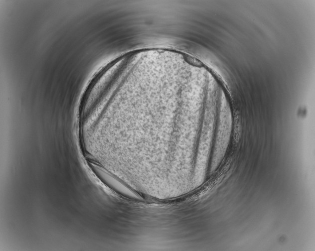 X0000098171088200805221510