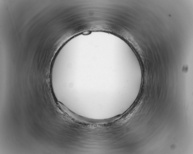 X0000098171089200805221510