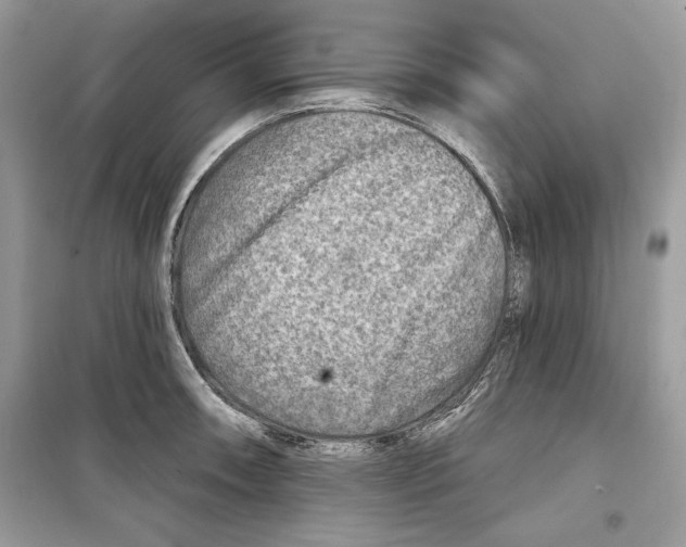 X0000098171090200805221510