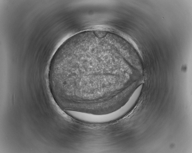 X0000098171091200805221510