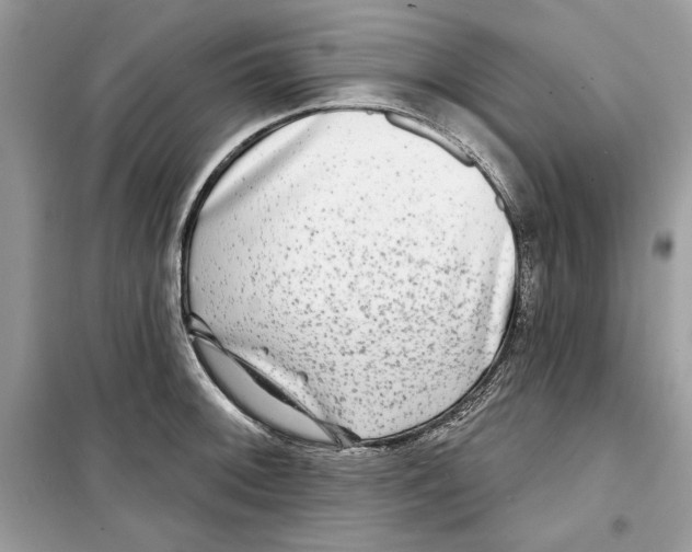 X0000098171092200805221510