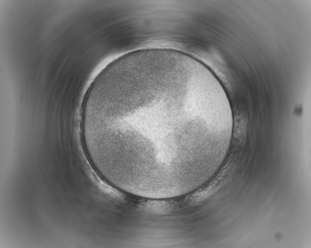 X0000098171094200805221510