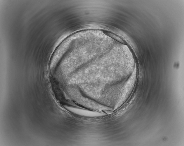 X0000098171097200805221510