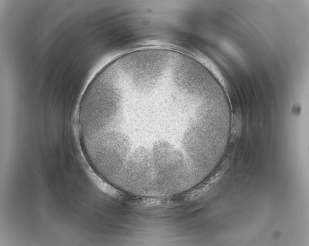 X0000098171098200805221510