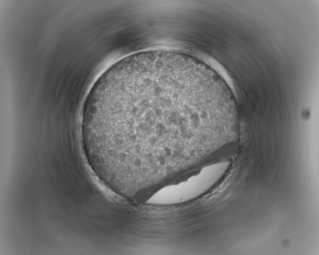 X0000098171099200805221510