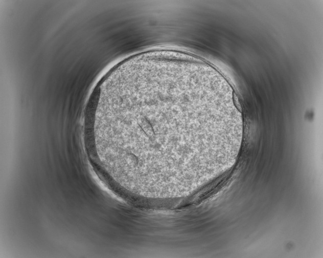 X0000098171100200805221510