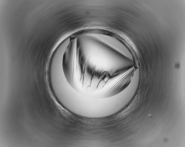 X0000098171101200805221510