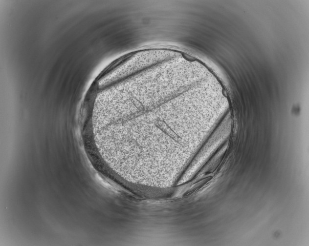 X0000098171102200805221510