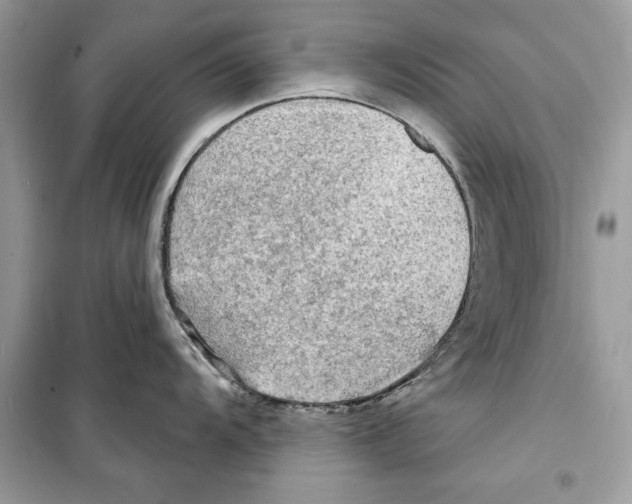 X0000098171104200805221510