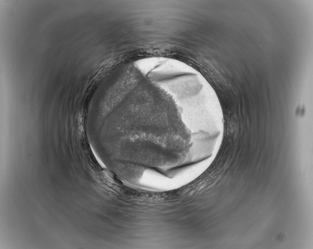 X0000098171106200805221509