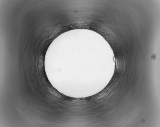 X0000098171107200805221509