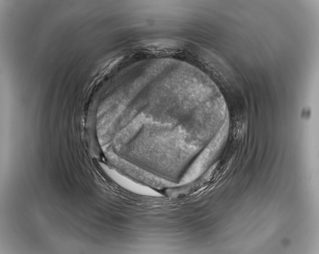 X0000098171108200805221509