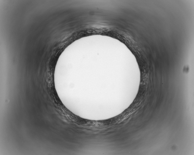 X0000098171109200805221509