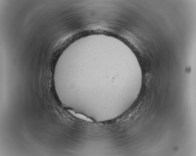 X0000098171111200805221509