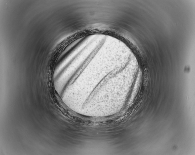 X0000098171112200805221509