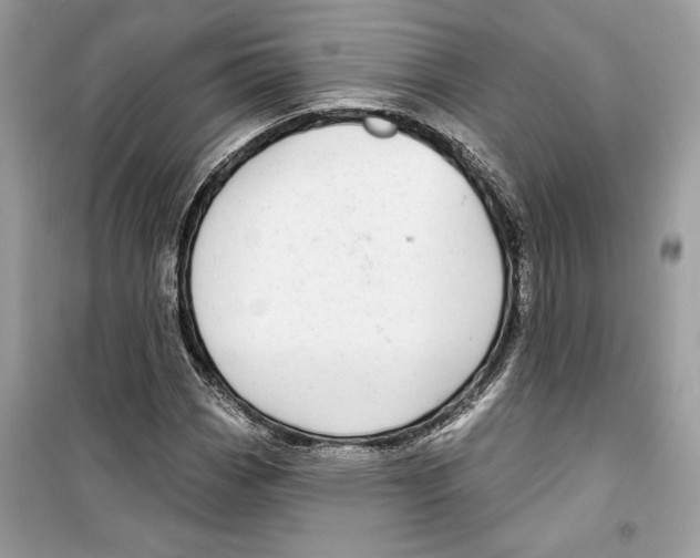 X0000098171113200805221509