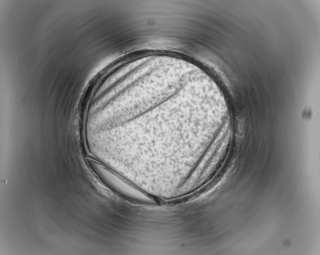 X0000098171114200805221509