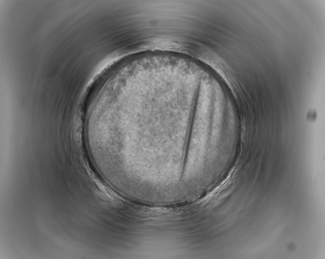 X0000098171115200805221509